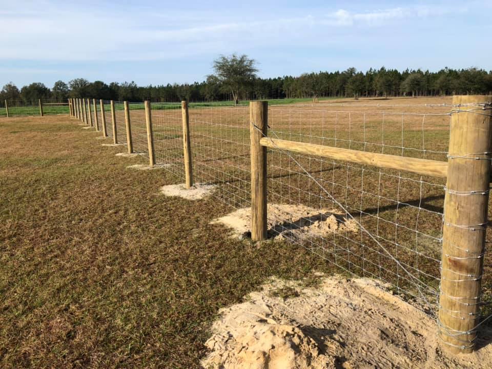Fence project 2