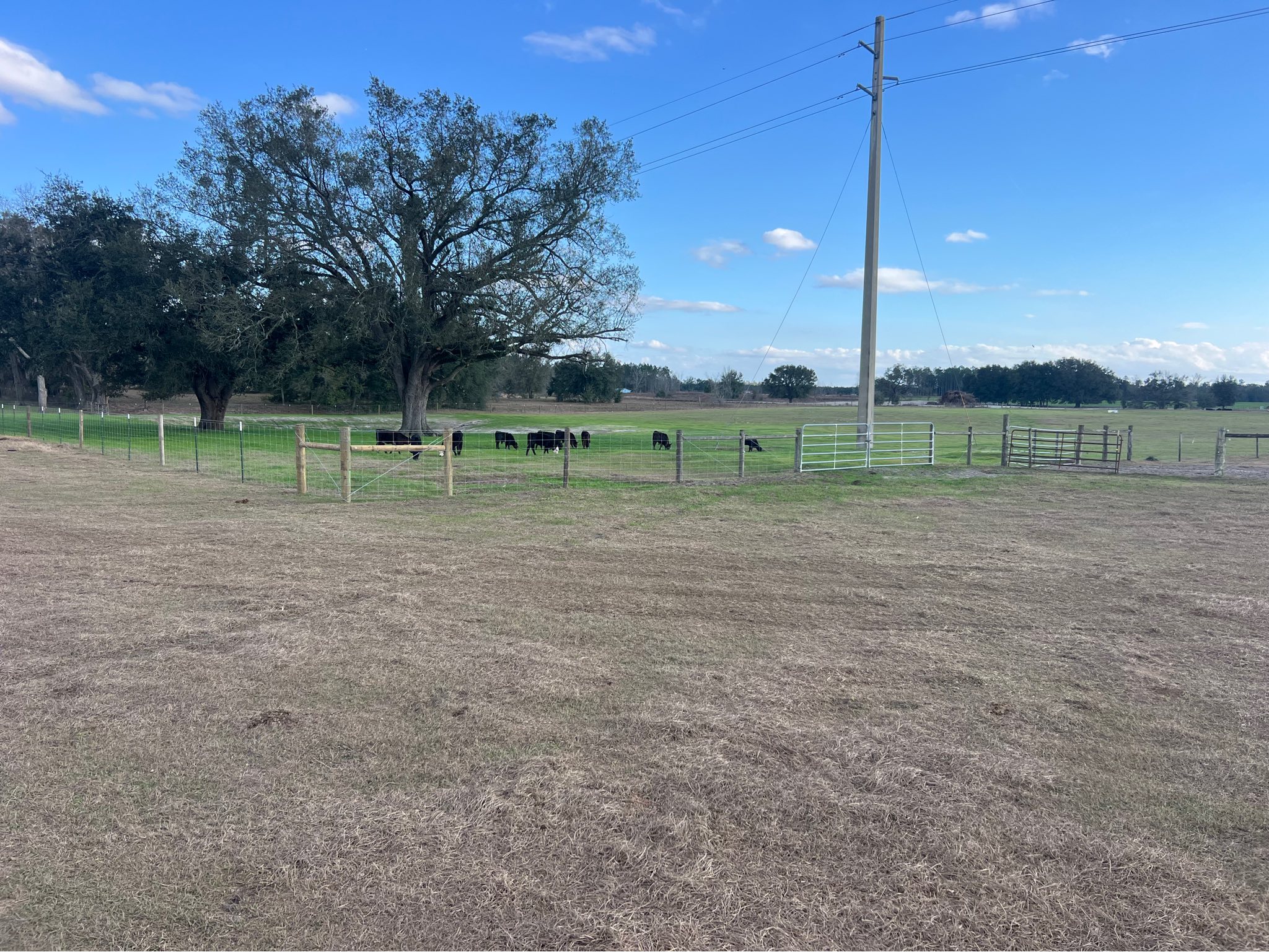Fence project 11